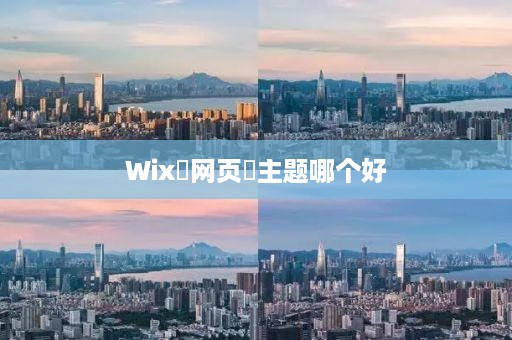 Wix‌网页‌主题哪个好